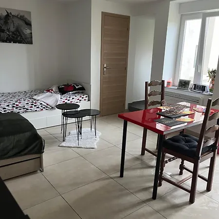 Le Petit Nouveau Avec Jardin *